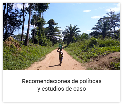 Recomendaciones de políticas y estudios de caso