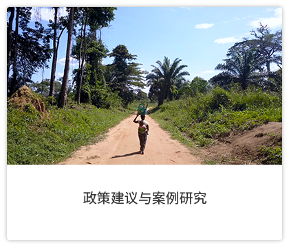 阅读政策建议与案例研究